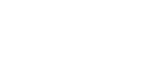 Selle San Marco logo