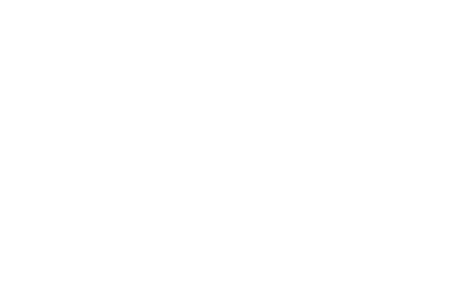 100% logo